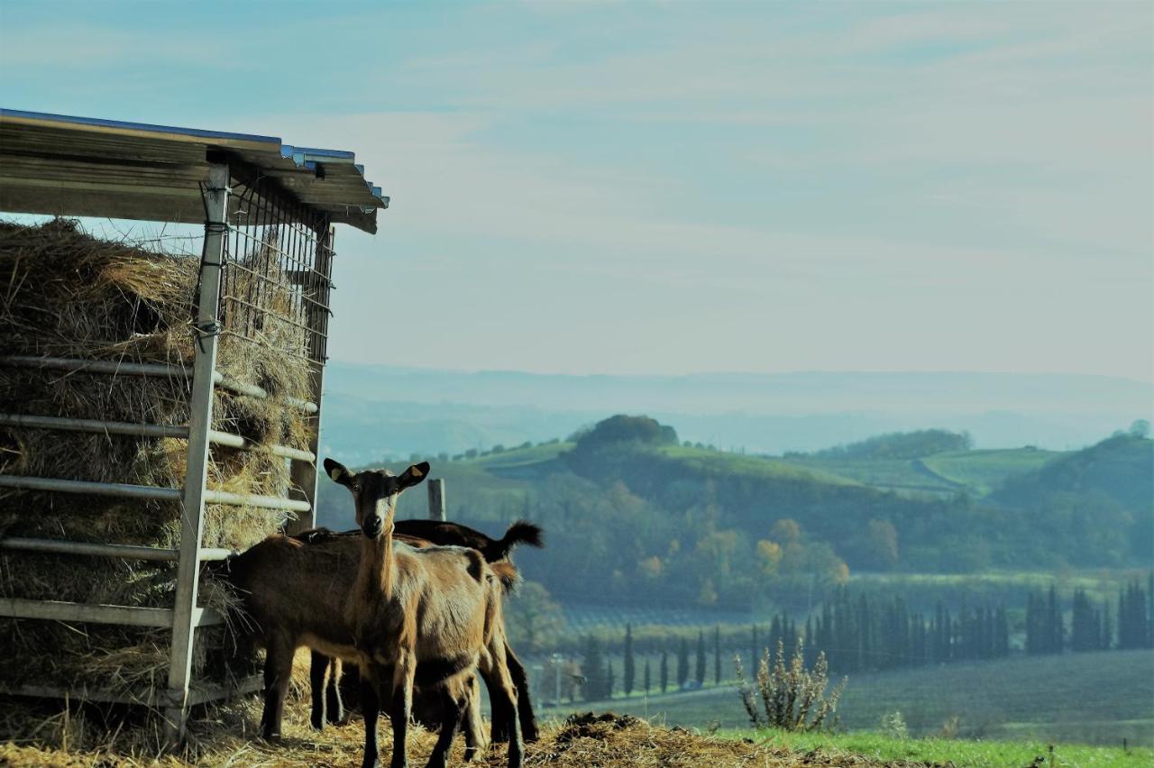 Agriturismo Fattoria Le Caprine Гамбасси-Терме Экстерьер фото