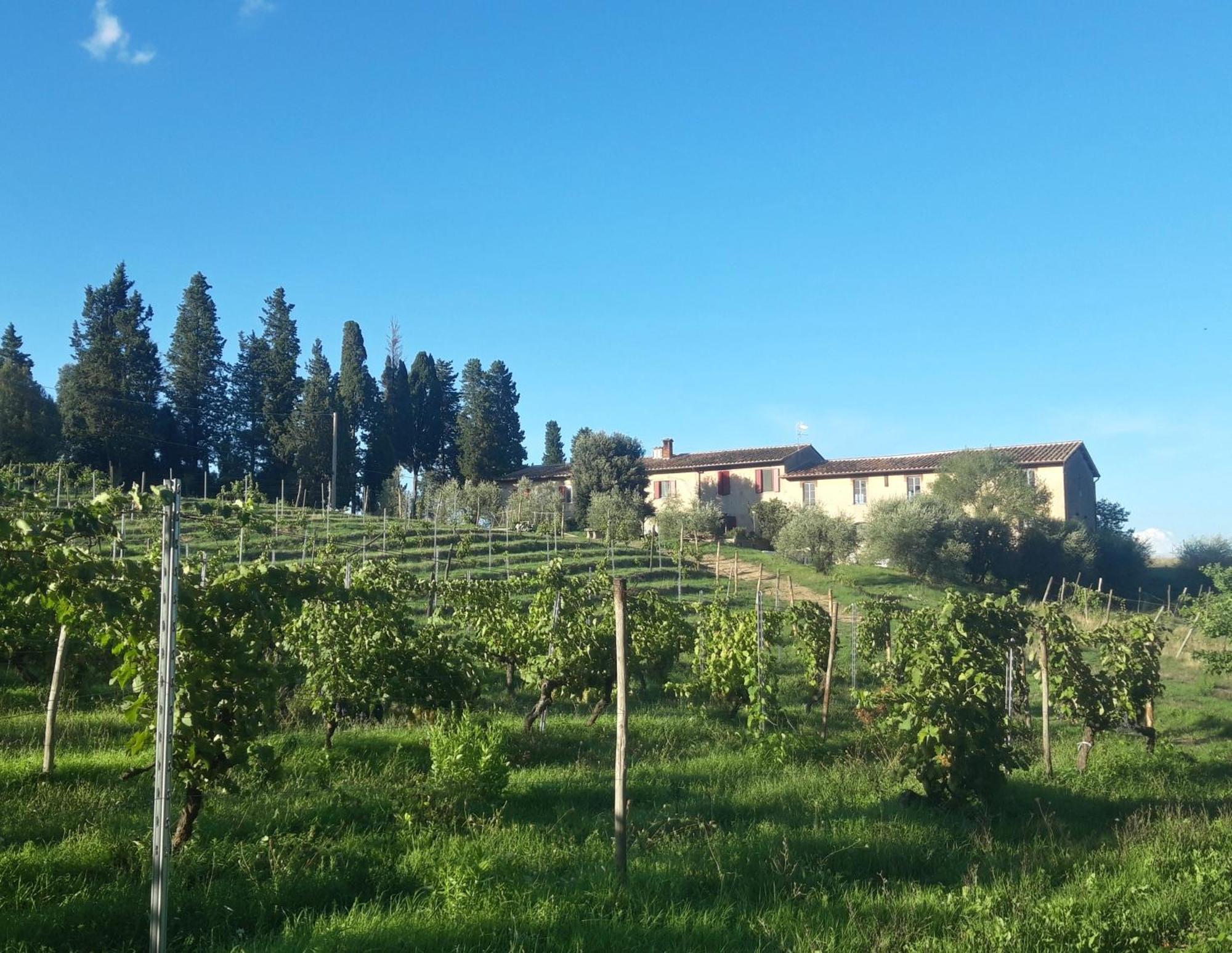 Agriturismo Fattoria Le Caprine Гамбасси-Терме Экстерьер фото